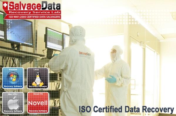 Hard Drive Recovery by SalvageData Recovery Services